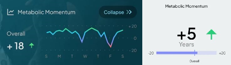 Metabolic momentum